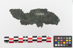 Foto von Bronzegürtelblech (NHMW-PRAE-023805)